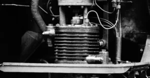 WHN 13
