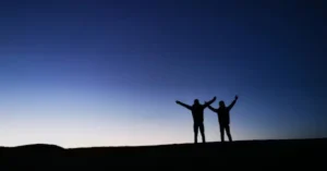 Boosting Life Quality with Nobullswipe